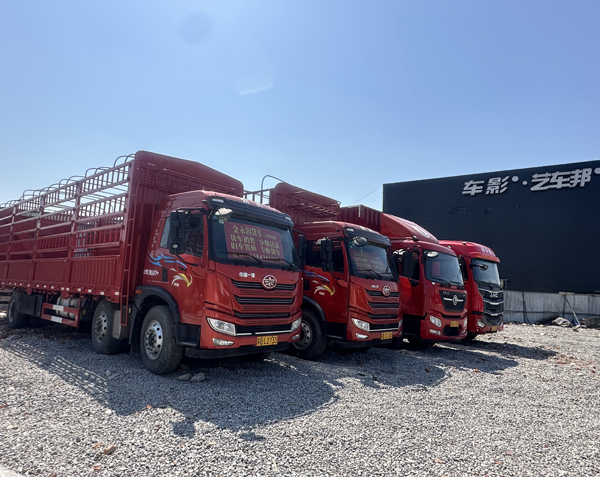 车车2.jpg